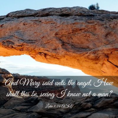 Picture 03 - Luke 1:34 ASV - And Mary said unto the angel, How shall this be, - Bible Verse Picture