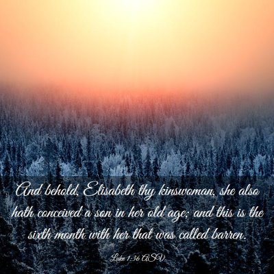 Picture 03 - Luke 1:36 ASV - And behold, Elisabeth thy kinswoman, she also - Bible Verse Picture