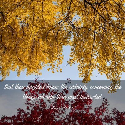 Picture 03 - Luke 1:4 ASV - that thou mightest know the certainty concerning - Bible Verse Picture