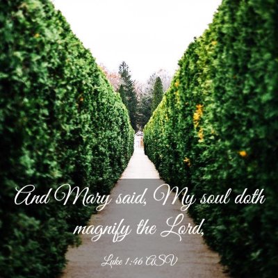 Picture 03 - Luke 1:46 ASV - And Mary said, My soul doth magnify the - Bible Verse Picture
