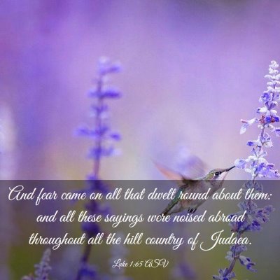 Picture 03 - Luke 1:65 ASV - And fear came on all that dwelt round about them: - Bible Verse Picture