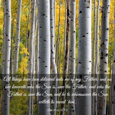 Picture 03 - Luke 10:22 ASV - All things have been delivered unto me of my - Bible Verse Picture