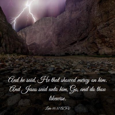 Picture 03 - Luke 10:37 ASV - And he said, He that showed mercy on him. And - Bible Verse Picture