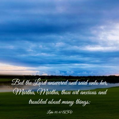 Picture 03 - Luke 10:41 ASV - But the Lord answered and said unto her, Martha, - Bible Verse Picture