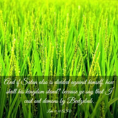 Picture 03 - Luke 11:18 ASV - And if Satan also is divided against himself, how - Bible Verse Picture