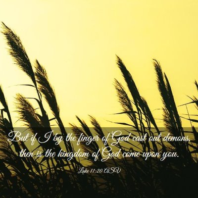Picture 03 - Luke 11:20 ASV - But if I by the finger of God cast out demons, - Bible Verse Picture