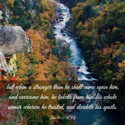 Picture 03 - Luke 11:22 ASV - but when a stronger than he shall come upon him, - Bible Verse Picture