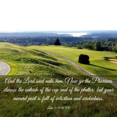Picture 03 - Luke 11:39 ASV - And the Lord said unto him, Now ye the Pharisees - Bible Verse Picture