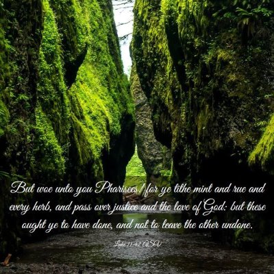 Picture 03 - Luke 11:42 ASV - But woe unto you Pharisees! for ye tithe mint and - Bible Verse Picture