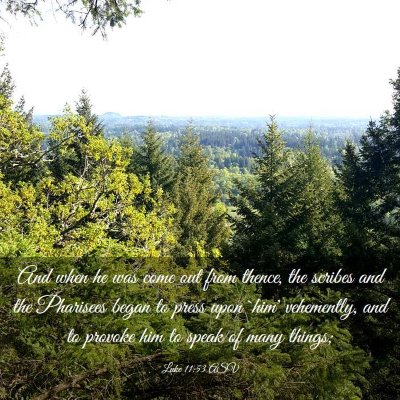 Picture 03 - Luke 11:53 ASV - And when he was come out from thence, the scribes - Bible Verse Picture