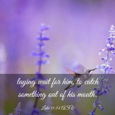 Picture 03 - Luke 11:54 ASV - laying wait for him, to catch something out of - Bible Verse Picture