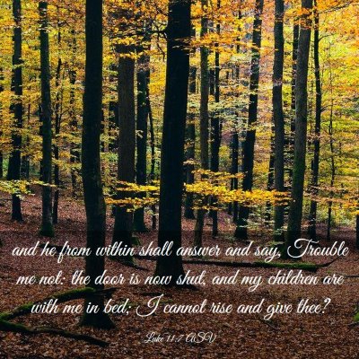 Picture 03 - Luke 11:7 ASV - and he from within shall answer and say, Trouble - Bible Verse Picture