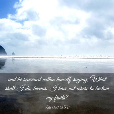 Picture 03 - Luke 12:17 ASV - and he reasoned within himself, saying, What - Bible Verse Picture