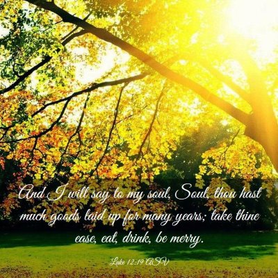 Picture 03 - Luke 12:19 ASV - And I will say to my soul, Soul, thou hast much - Bible Verse Picture