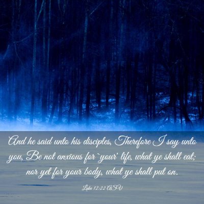 Picture 03 - Luke 12:22 ASV - And he said unto his disciples, Therefore I say - Bible Verse Picture