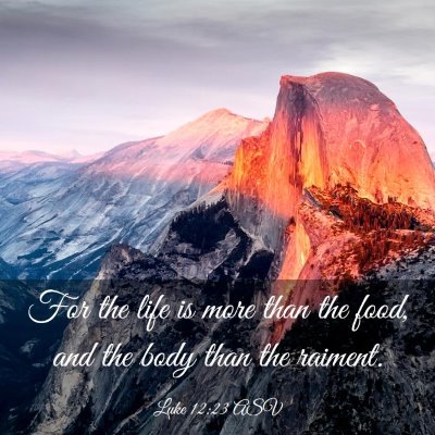 Picture 03 - Luke 12:23 ASV - For the life is more than the food, and the body - Bible Verse Picture