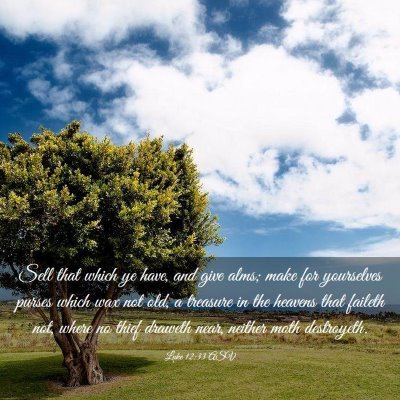 Picture 03 - Luke 12:33 ASV - Sell that which ye have, and give alms; make for - Bible Verse Picture