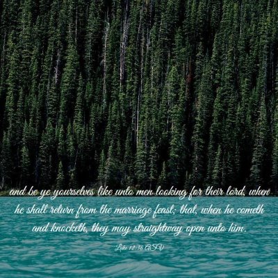 Picture 03 - Luke 12:36 ASV - and be ye yourselves like unto men looking for - Bible Verse Picture