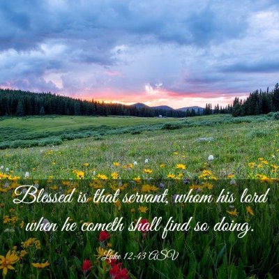 Picture 03 - Luke 12:43 ASV - Blessed is that servant, whom his lord when he - Bible Verse Picture