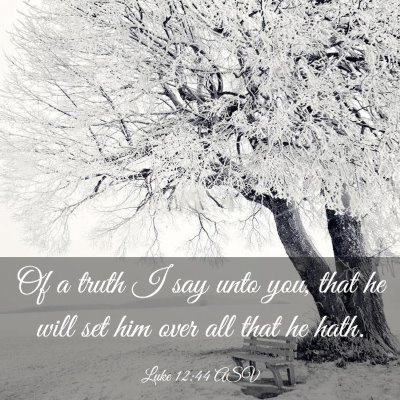 Picture 03 - Luke 12:44 ASV - Of a truth I say unto you, that he will set him - Bible Verse Picture