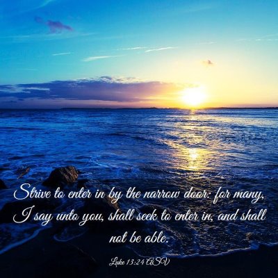 Picture 03 - Luke 13:24 ASV - Strive to enter in by the narrow door: for many, - Bible Verse Picture