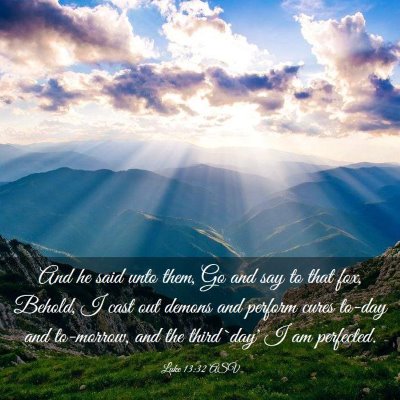 Picture 03 - Luke 13:32 ASV - And he said unto them, Go and say to that fox, - Bible Verse Picture
