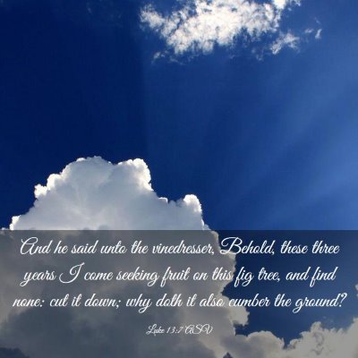 Picture 03 - Luke 13:7 ASV - And he said unto the vinedresser, Behold, these - Bible Verse Picture