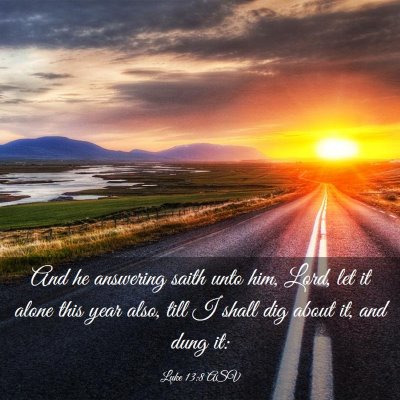 Picture 03 - Luke 13:8 ASV - And he answering saith unto him, Lord, let it - Bible Verse Picture
