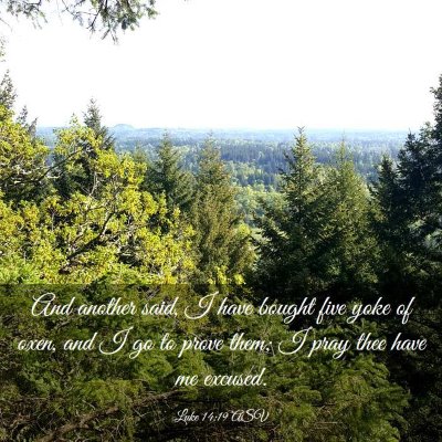 Picture 03 - Luke 14:19 ASV - And another said, I have bought five yoke of - Bible Verse Picture