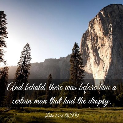 Picture 03 - Luke 14:2 ASV - And behold, there was before him a certain man - Bible Verse Picture