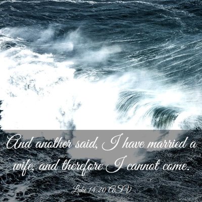 Picture 03 - Luke 14:20 ASV - And another said, I have married a wife, and - Bible Verse Picture