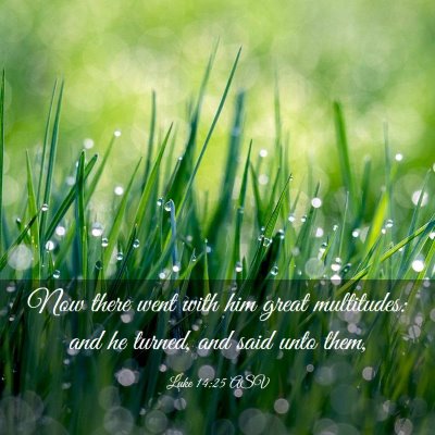 Picture 03 - Luke 14:25 ASV - Now there went with him great multitudes: and he - Bible Verse Picture