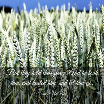 Picture 03 - Luke 14:4 ASV - But they held their peace. And he took him, and - Bible Verse Picture