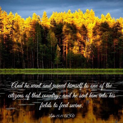 Picture 03 - Luke 15:15 ASV - And he went and joined himself to one of the - Bible Verse Picture