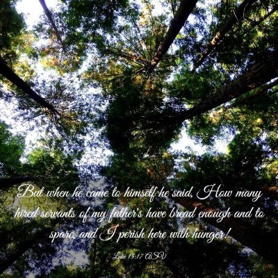 Picture 03 - Luke 15:17 ASV - But when he came to himself he said, How many - Bible Verse Picture