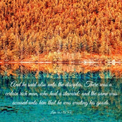 Picture 03 - Luke 16:1 ASV - And he said also unto the disciples, There was a - Bible Verse Picture