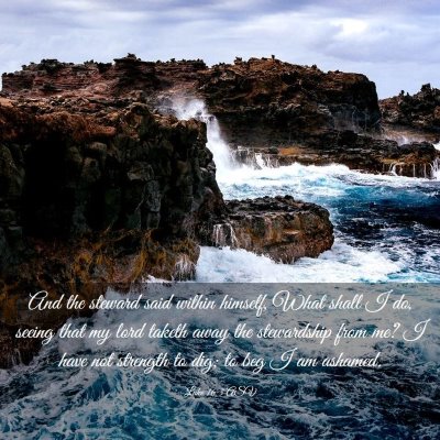 Picture 03 - Luke 16:3 ASV - And the steward said within himself, What shall I - Bible Verse Picture