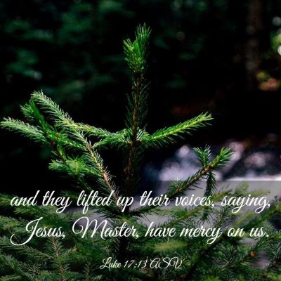 Picture 03 - Luke 17:13 ASV - and they lifted up their voices, saying, Jesus, - Bible Verse Picture