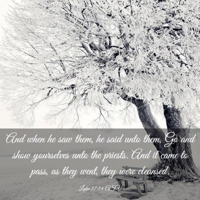 Picture 03 - Luke 17:14 ASV - And when he saw them, he said unto them, Go and - Bible Verse Picture