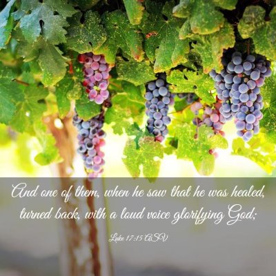 Picture 03 - Luke 17:15 ASV - And one of them, when he saw that he was healed, - Bible Verse Picture