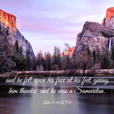 Picture 03 - Luke 17:16 ASV - and he fell upon his face at his feet, giving him - Bible Verse Picture