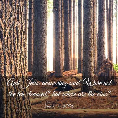 Picture 03 - Luke 17:17 ASV - And Jesus answering said, Were not the ten - Bible Verse Picture