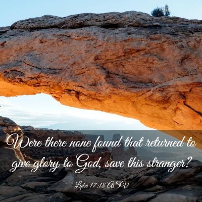 Picture 03 - Luke 17:18 ASV - Were there none found that returned to give glory - Bible Verse Picture