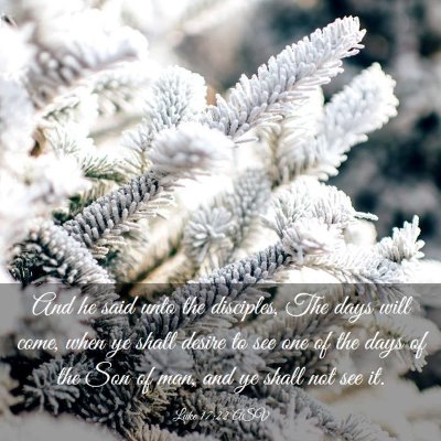 Picture 03 - Luke 17:22 ASV - And he said unto the disciples, The days will - Bible Verse Picture