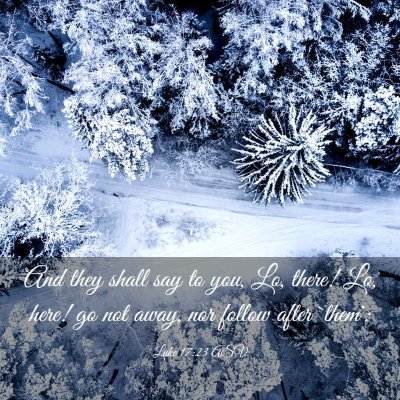 Picture 03 - Luke 17:23 ASV - And they shall say to you, Lo, there! Lo, here! - Bible Verse Picture