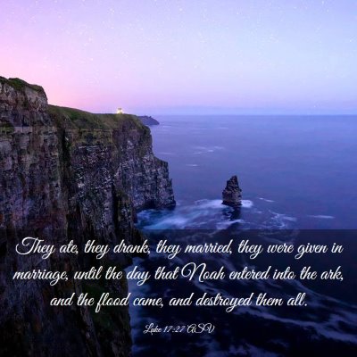 Picture 03 - Luke 17:27 ASV - They ate, they drank, they married, they were - Bible Verse Picture