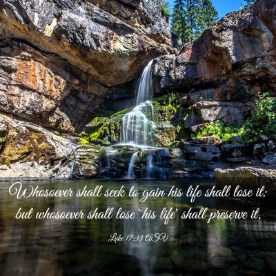 Picture 03 - Luke 17:33 ASV - Whosoever shall seek to gain his life shall lose - Bible Verse Picture