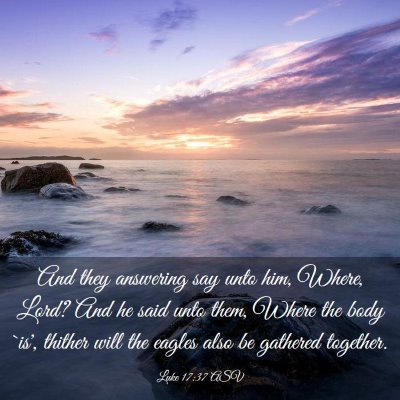 Picture 03 - Luke 17:37 ASV - And they answering say unto him, Where, Lord? And - Bible Verse Picture