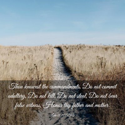 Picture 03 - Luke 18:20 ASV - Thou knowest the commandments, Do not commit - Bible Verse Picture