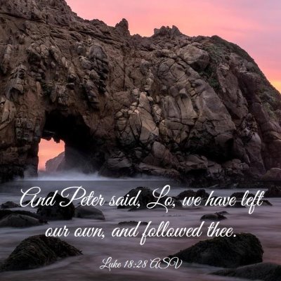 Picture 03 - Luke 18:28 ASV - And Peter said, Lo, we have left our own, and - Bible Verse Picture